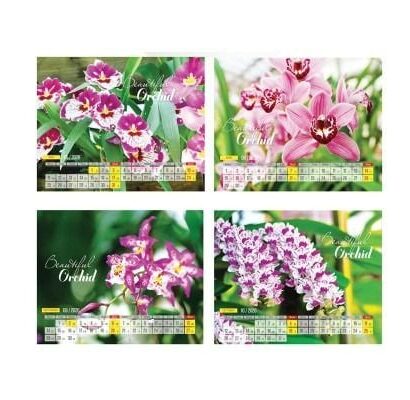 bo-lich-ban-13-to-doc-quyen-cong-ty-04