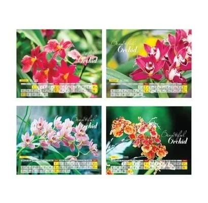 bo-lich-ban-13-to-doc-quyen-cong-ty-05