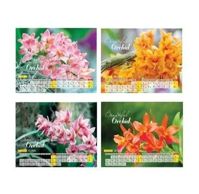 bo-lich-ban-13-to-doc-quyen-cong-ty-06